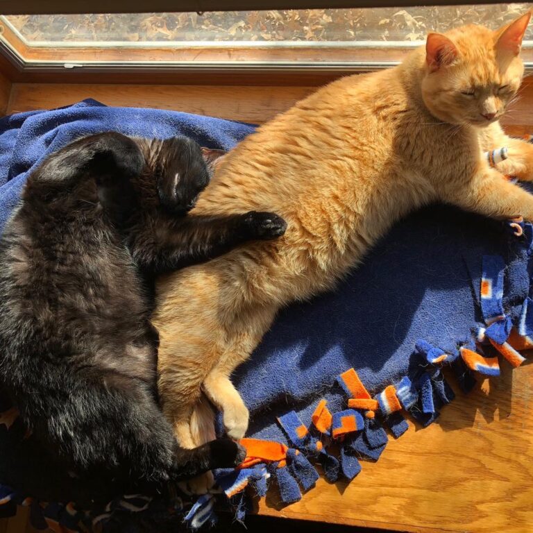 Have to capture the moments they love each other and actually share
