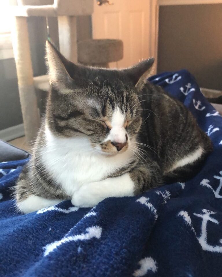 He’s just so puurrrrrfect