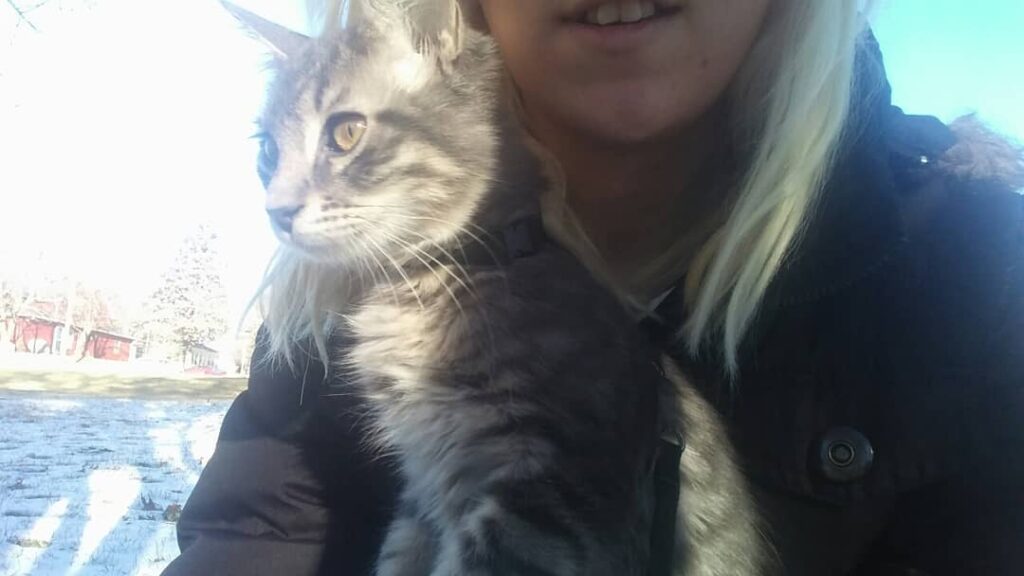 His feet got cold so he climbed up on me to check it out instead . .