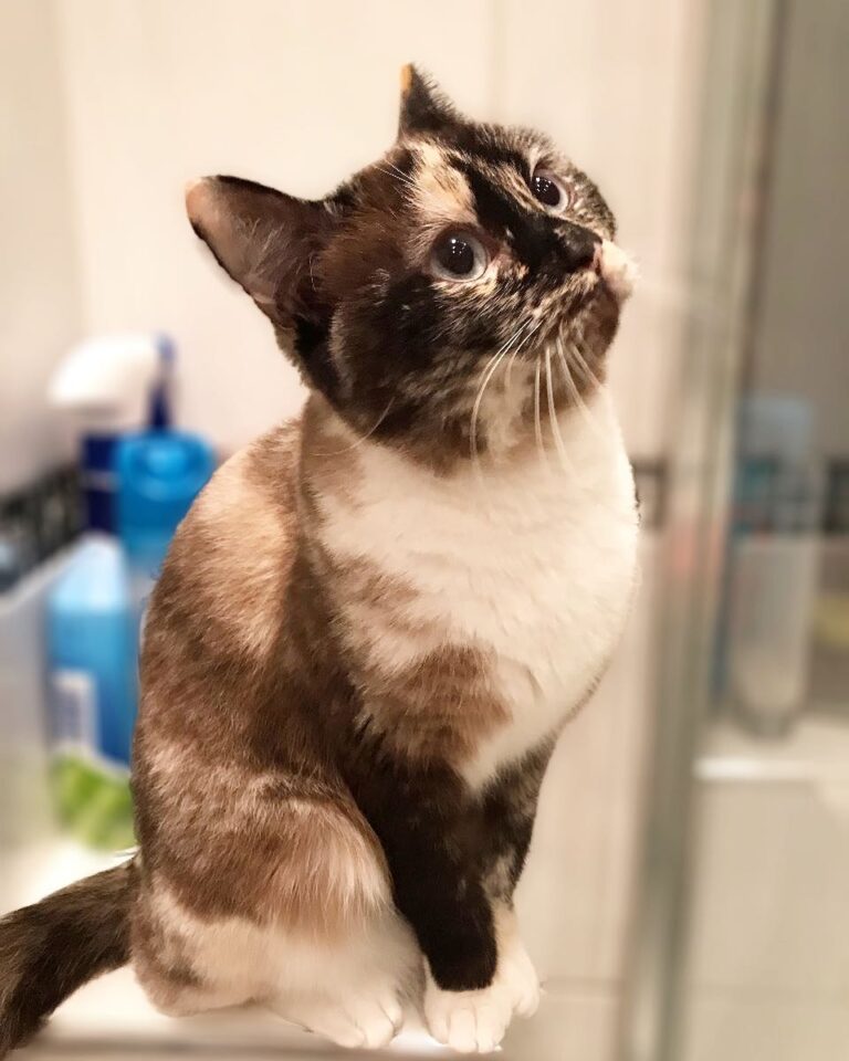 How beautiful is this girl?