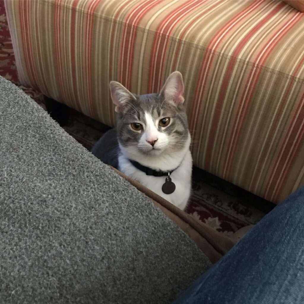 Human, what are you doing up there?