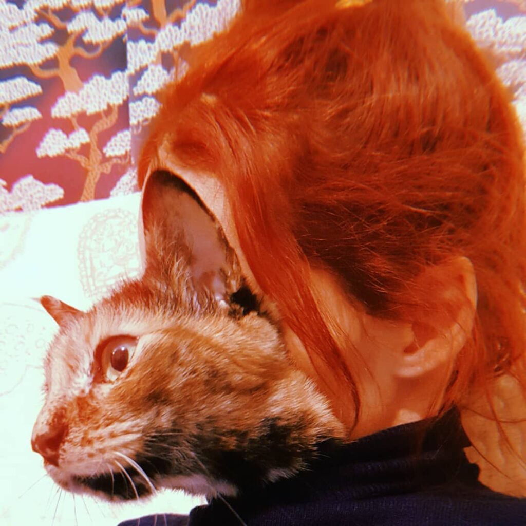 Je voulait être un chat