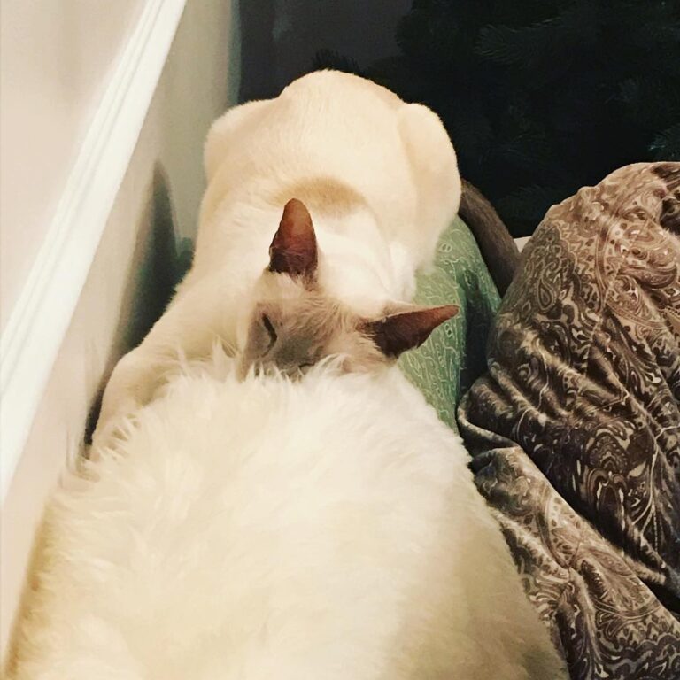 Long day
