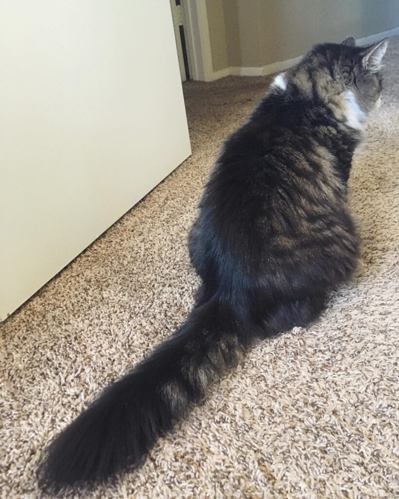 Long hair, don’t care . . .