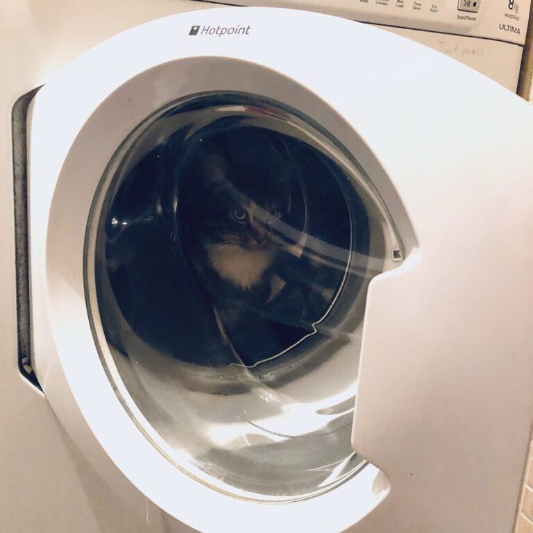 Looks like Corey Taylor is just having a quick wash!