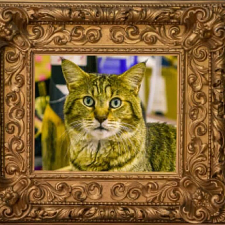 Loving this new 3D portrait of Mr. Bronson by Wow! Just Wow! Thank you