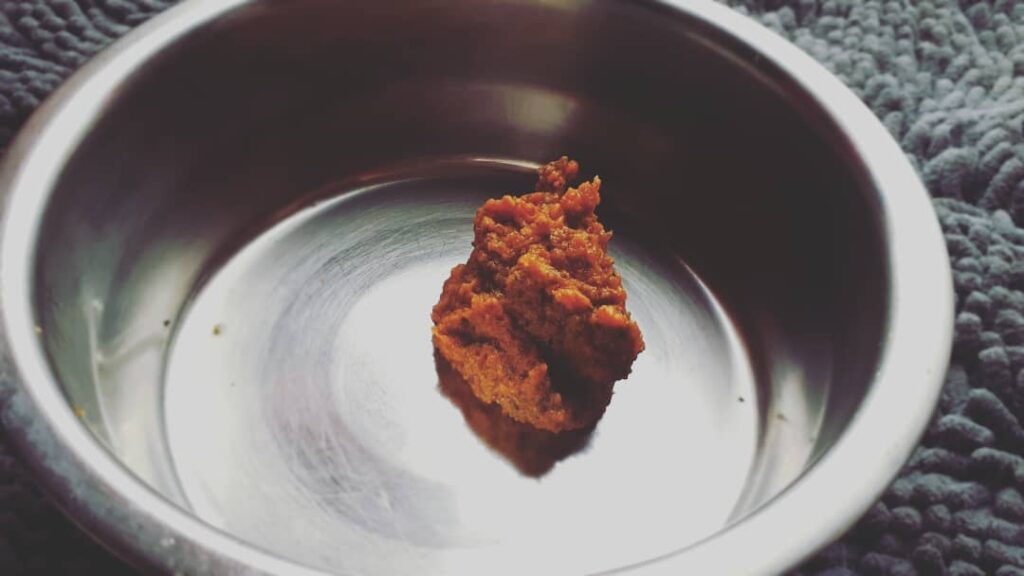 Mummy mixed up some pure pumpkin with our suppliments for us today!