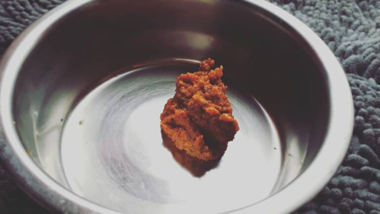 Mummy mixed up some pure pumpkin with our suppliments for us today!