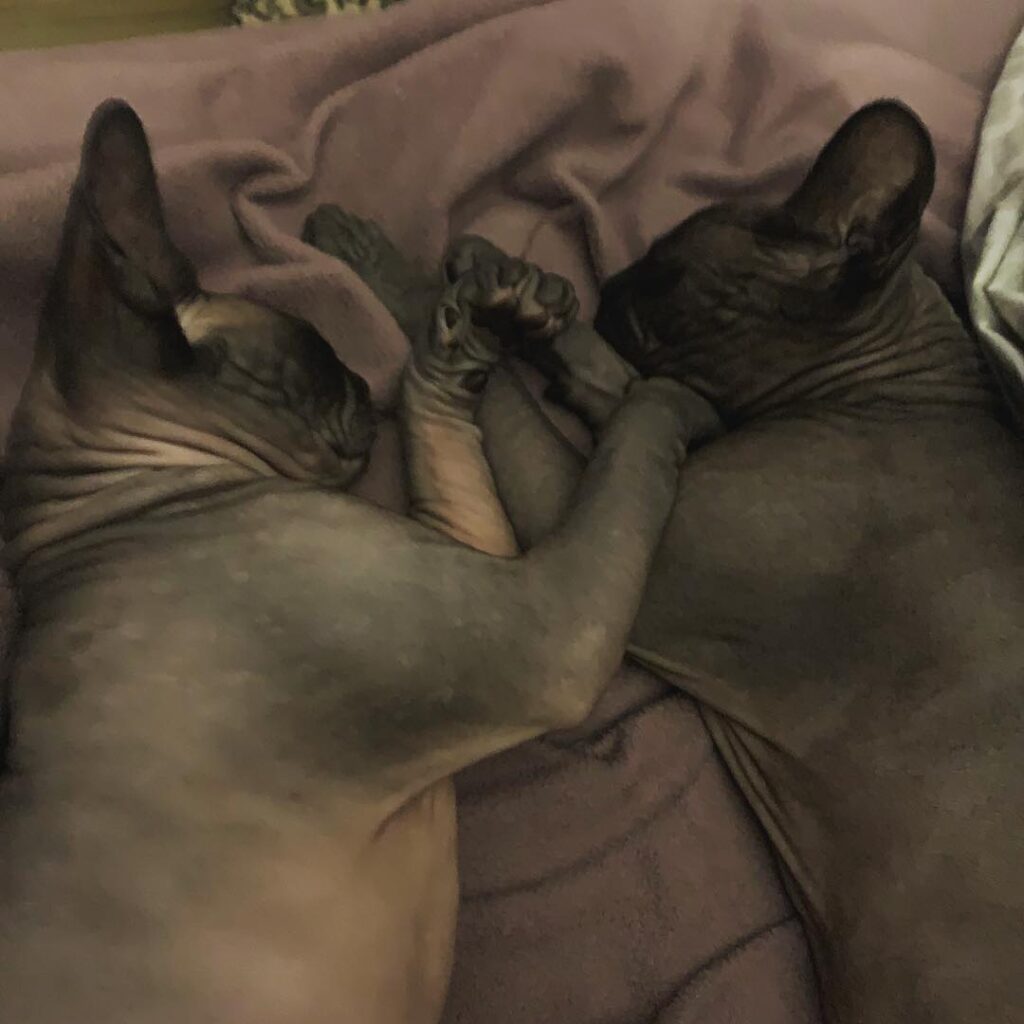 My babies are perfect.