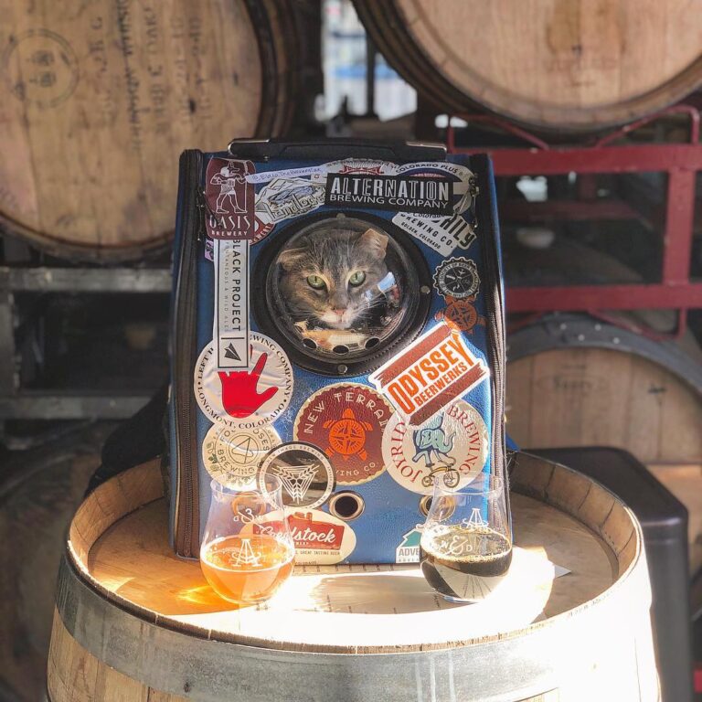 My humans took meowt to my 58th brewery – & new shared space & barrel