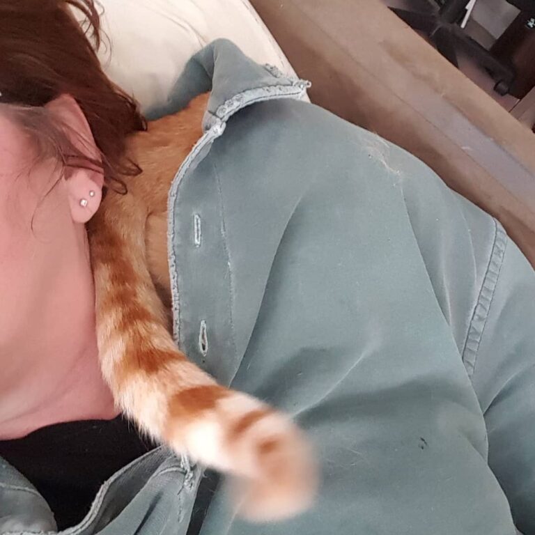 Not sure what he was going for but Riley crawled in my shirt, down