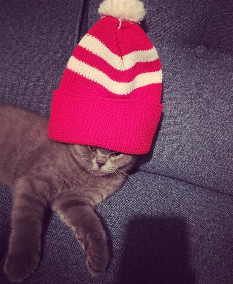 Not too happy we lost to those toffees