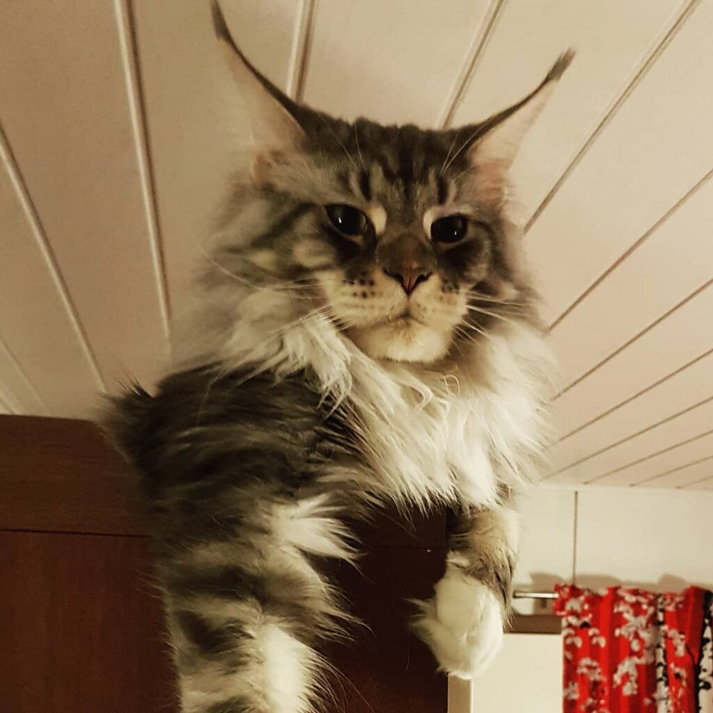Oh no…holidays are over.