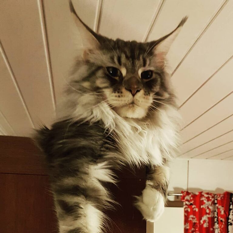 Oh no…holidays are over.