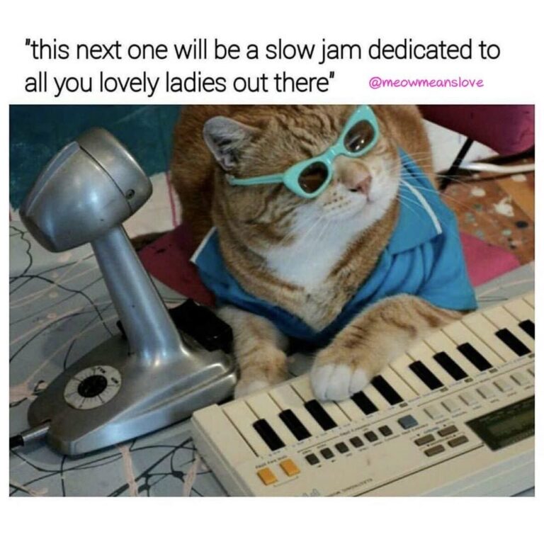 On this 1st of 2019, this one is dedicated to all the lovely cat moms