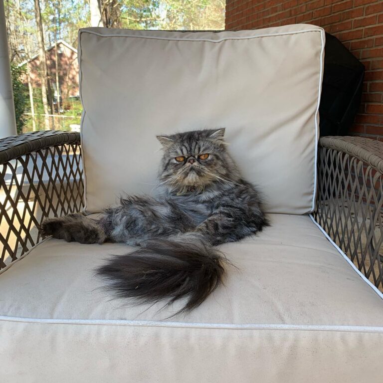 Paint me like one of your french girls, Jack.