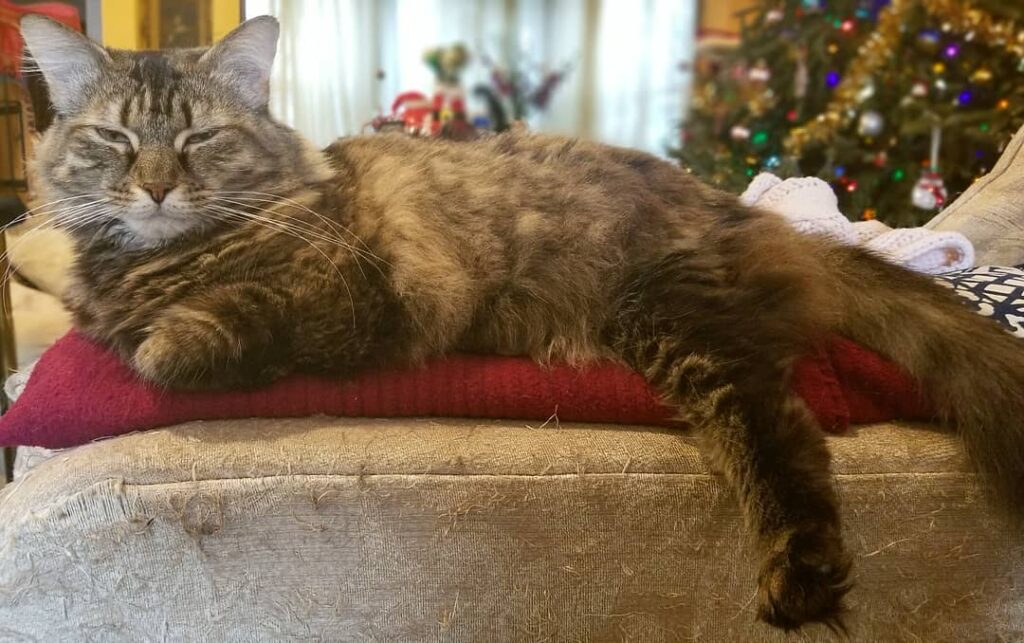 Penny putting her best foot forward
