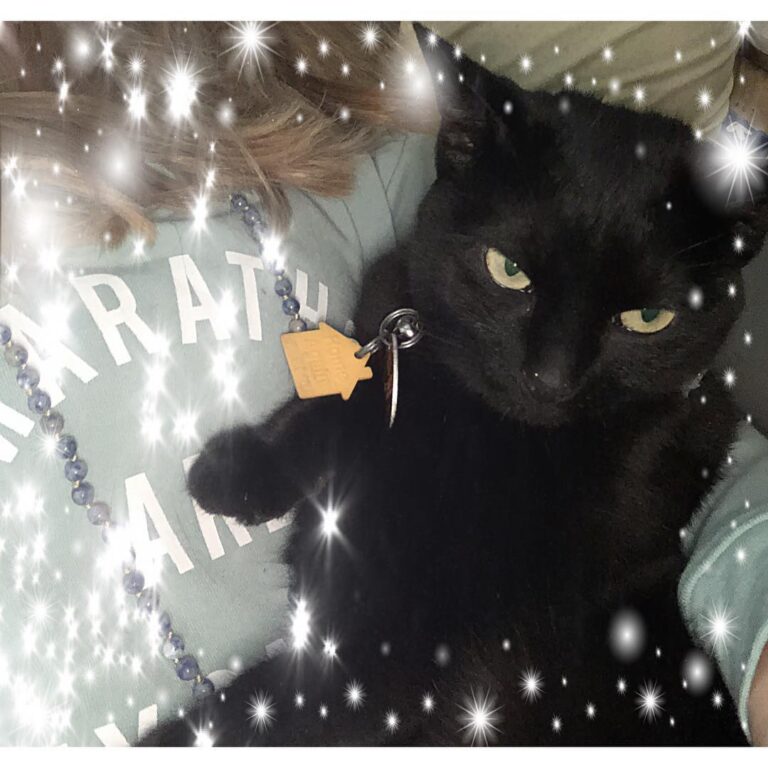 Rainy day snuggles