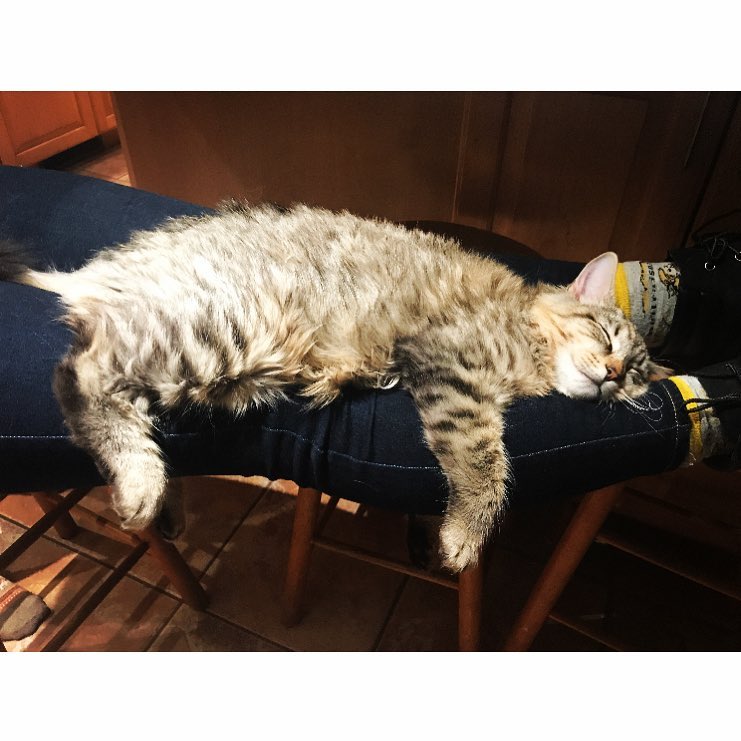 Saturdaze… • • • • • •
