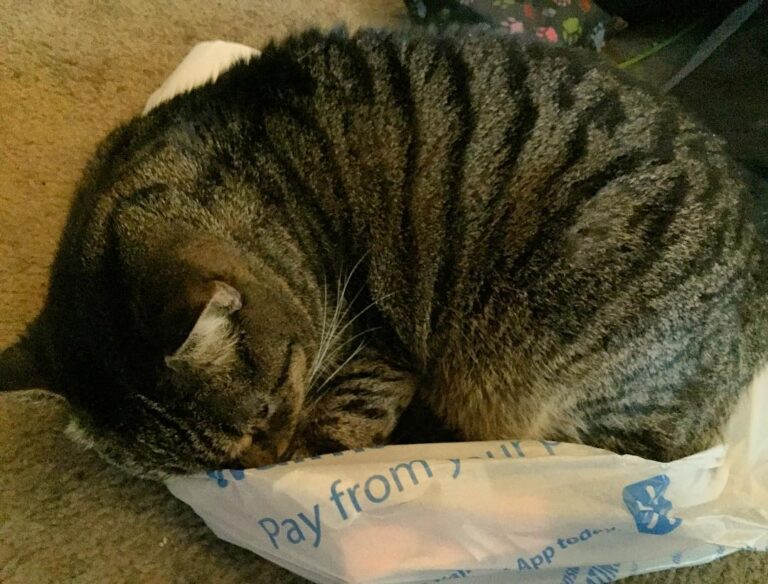 She has 3 beds.