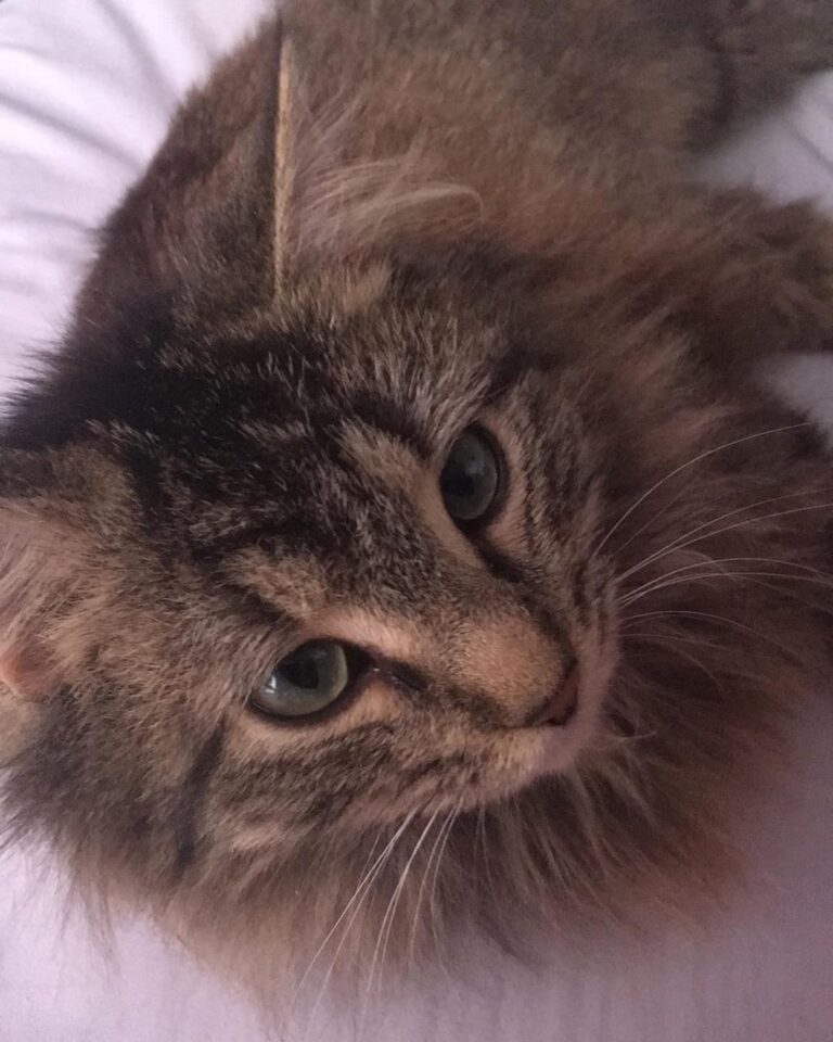 She’s so snuggly