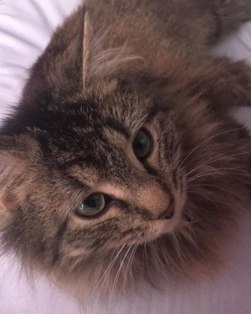 She’s so snuggly