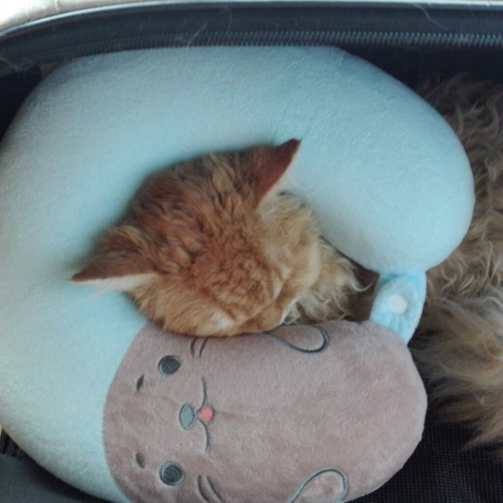 Sleep little baby