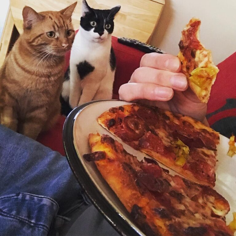 So are you gonna eat all that yourself?