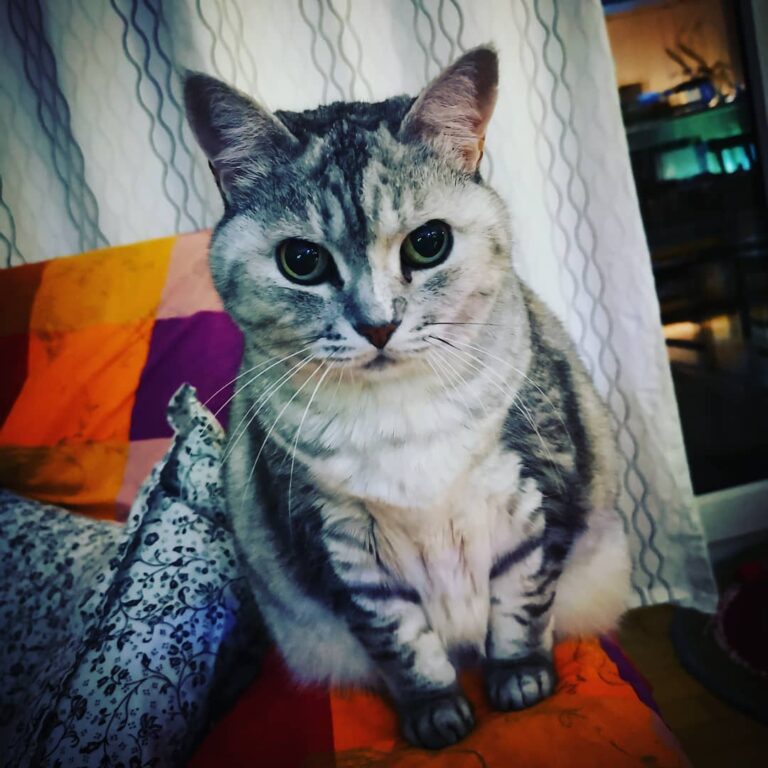 The real Queen