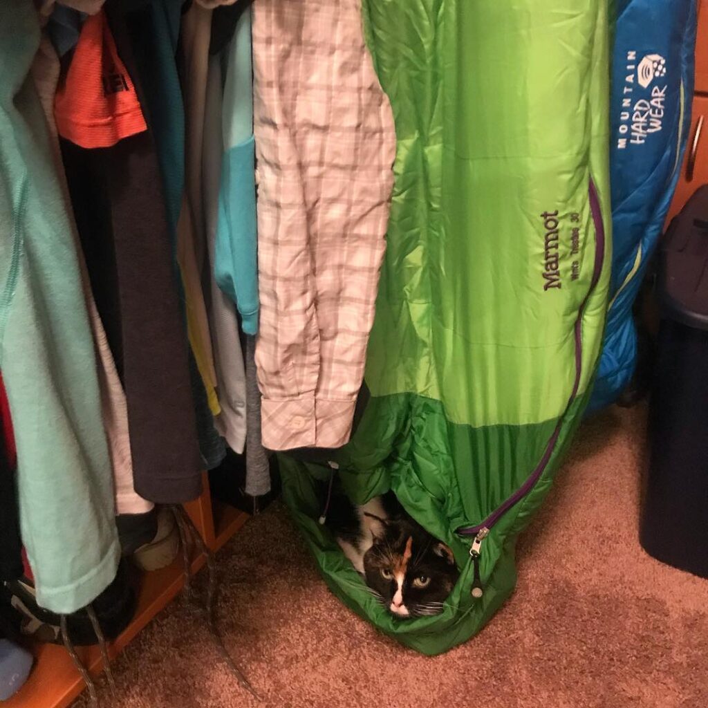 This is Midi telling me she hasn’t been on enough adventures in a