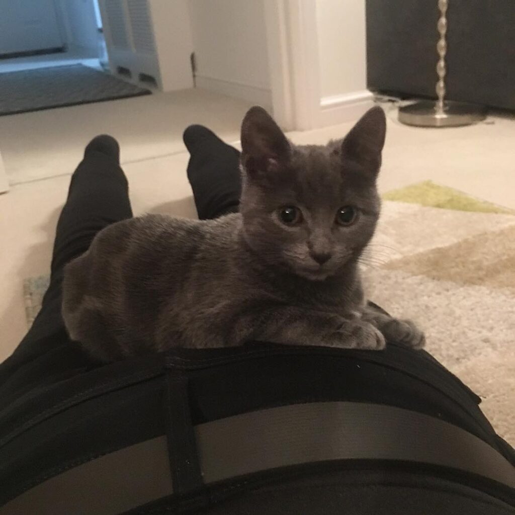 This is comfy!