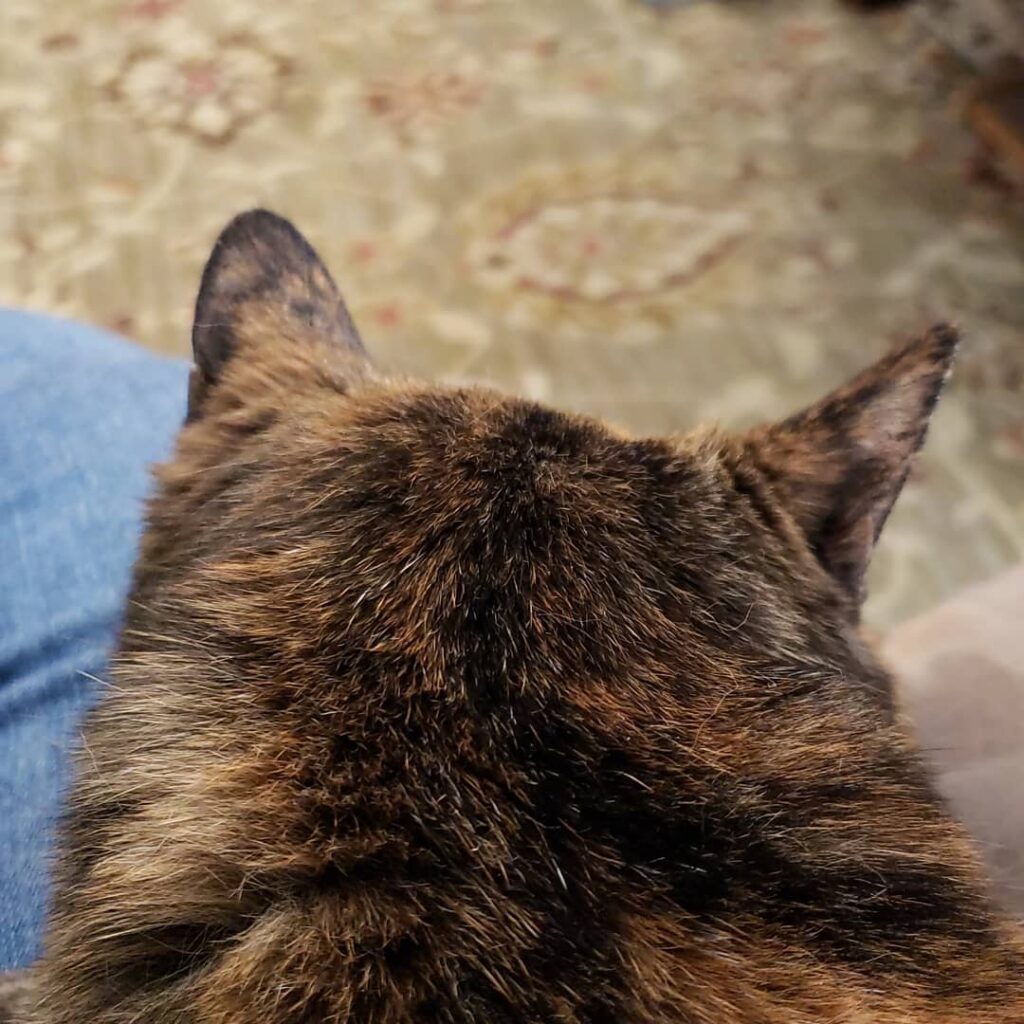This is how she begs