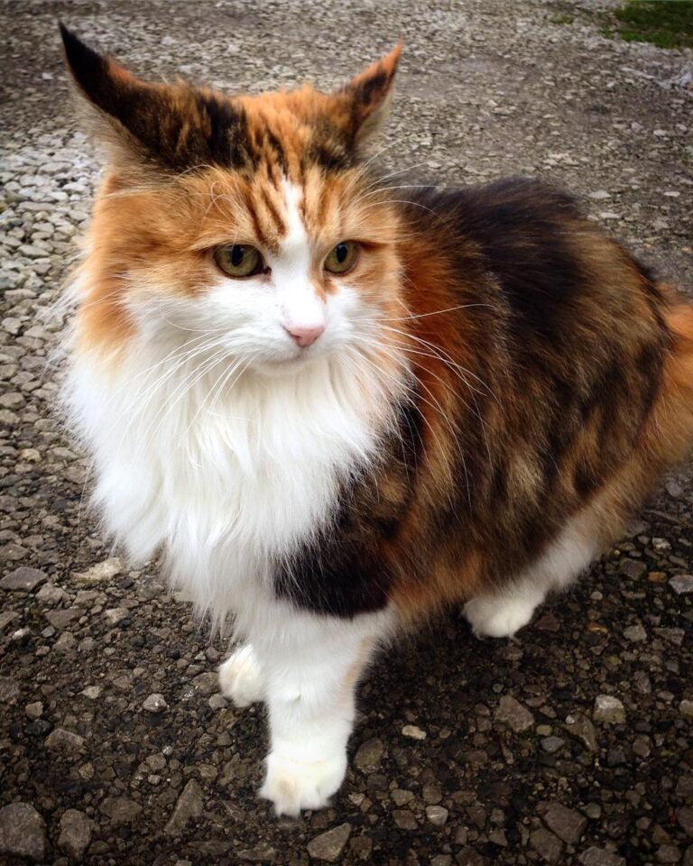 This stunner on my way to a train station