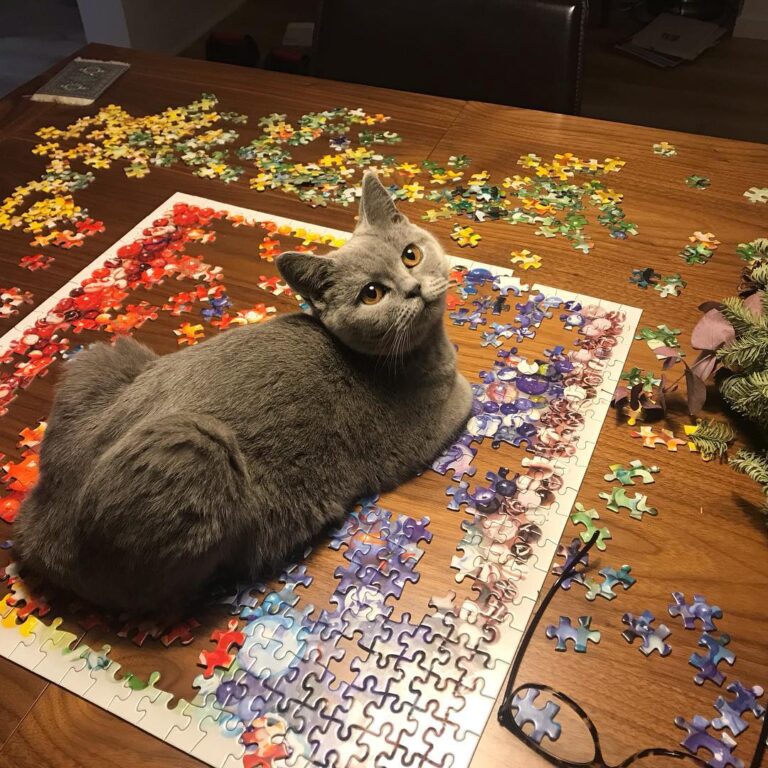 Thought I’d help speed things along on this 500-piecer.