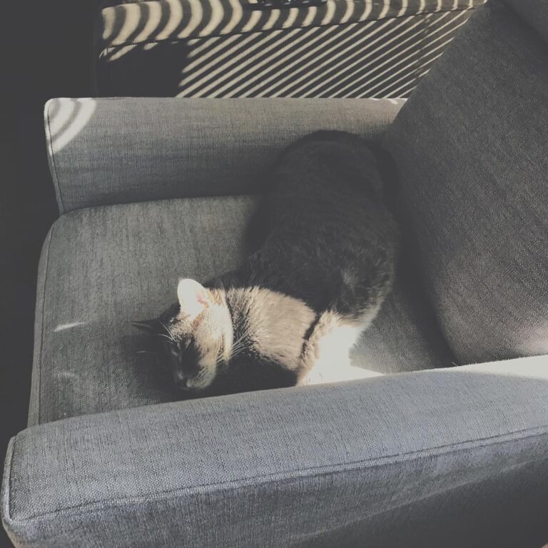 US National Nap Team Captain