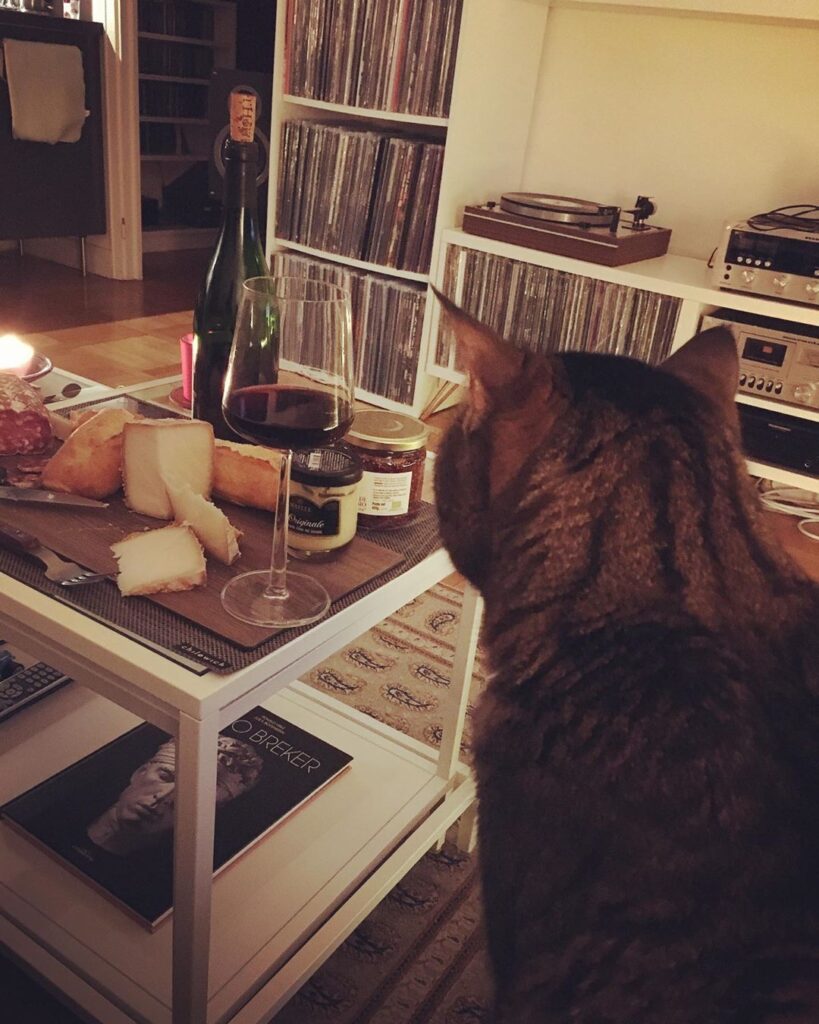Unwinding with a cheese board and vino. Puuuuurfection