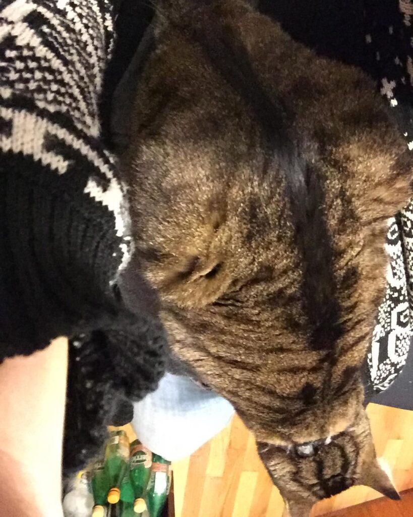 Upside-down of me sitting on mom’s chest