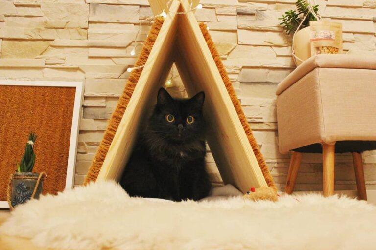 [Werbung] Upcycling mit unseren neuen DIYs – das Tipi und die coole