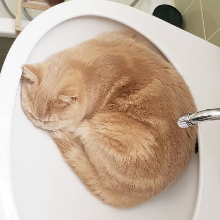 Wild saturday night for Winston