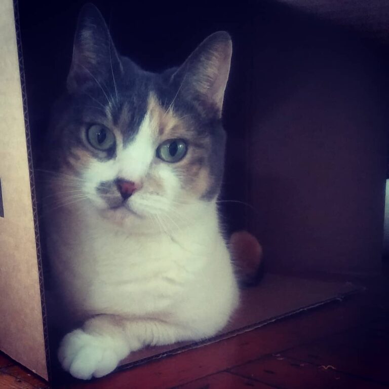 You gotta get your own box