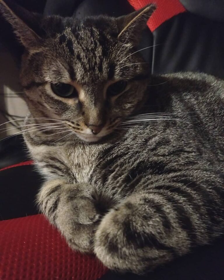 Chilling with Luna. • • •