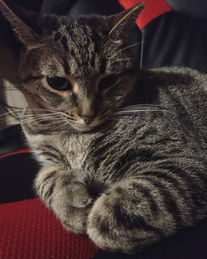 Chilling with Luna. • • •
