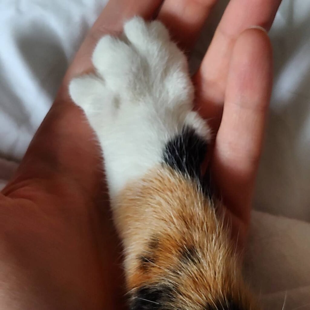 Trust and love