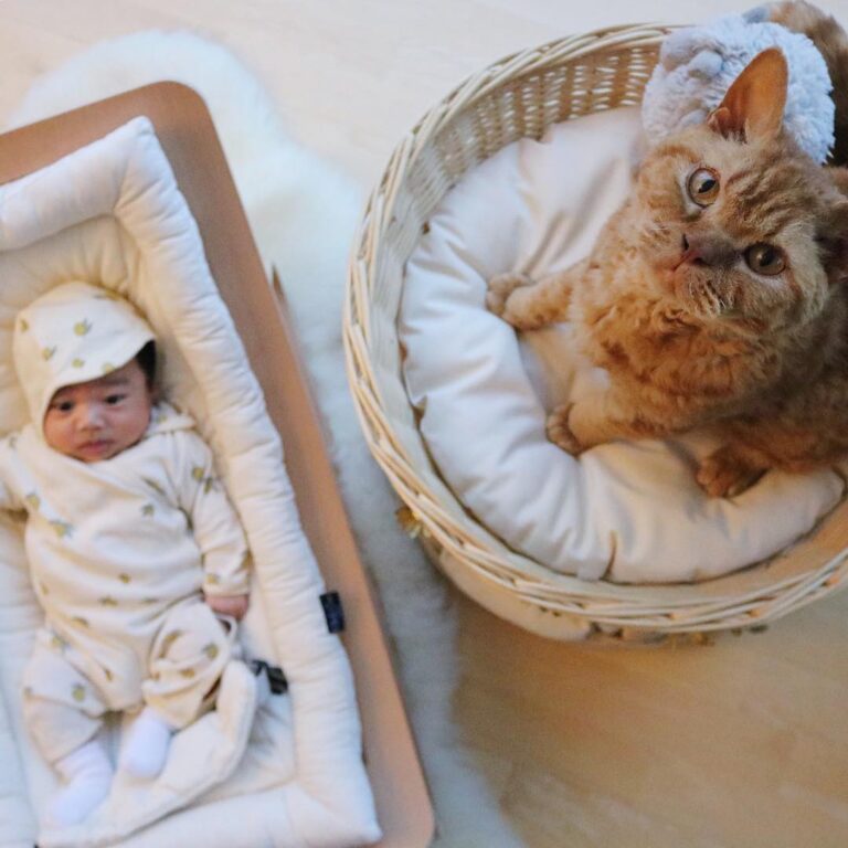 05/01/2019 Happy Caturday! ・ As of the day before yesterday (Jan