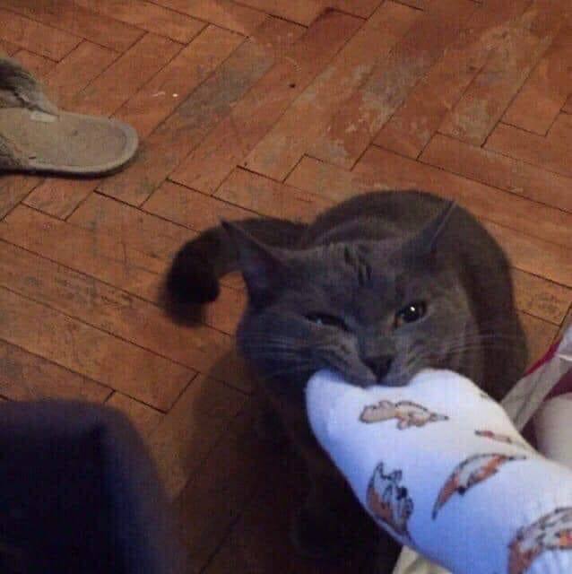 He M O N C H