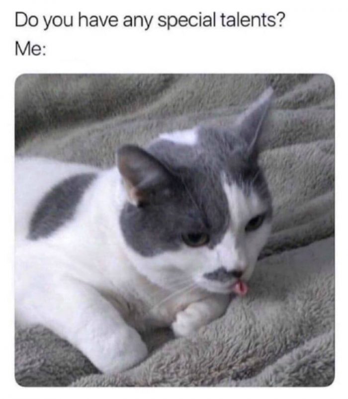 That's a clever kitty