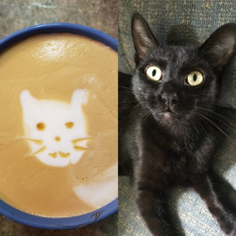 An exact likeness.