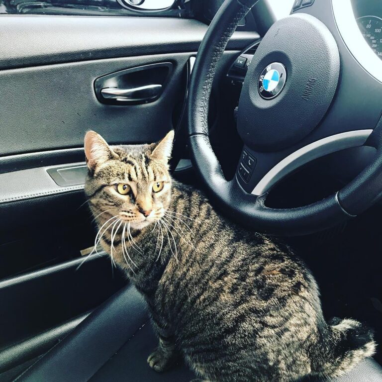 Another adventure for Chloe