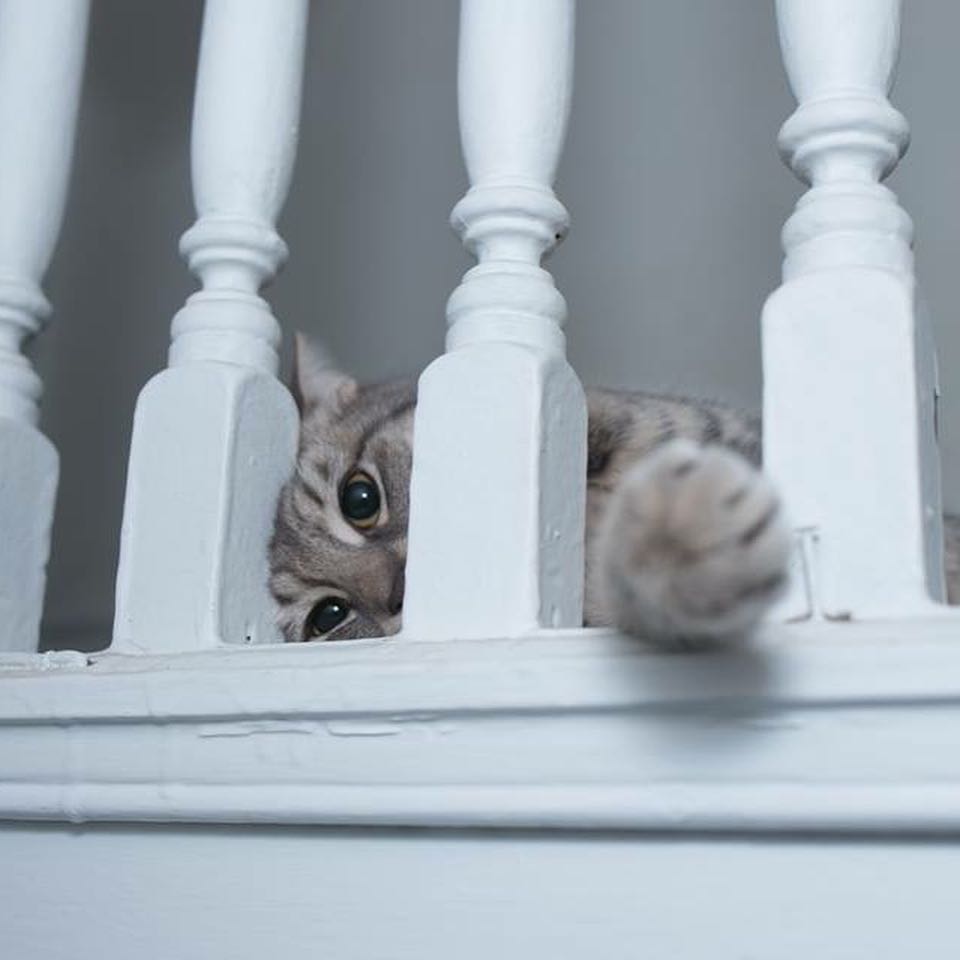 Argenta hasn’t moved much since she got home. She’s been