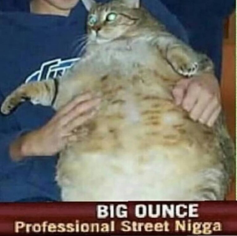 Big chungus – – – – – –
